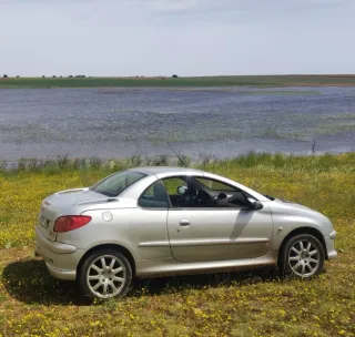 Peugeot 206 cc