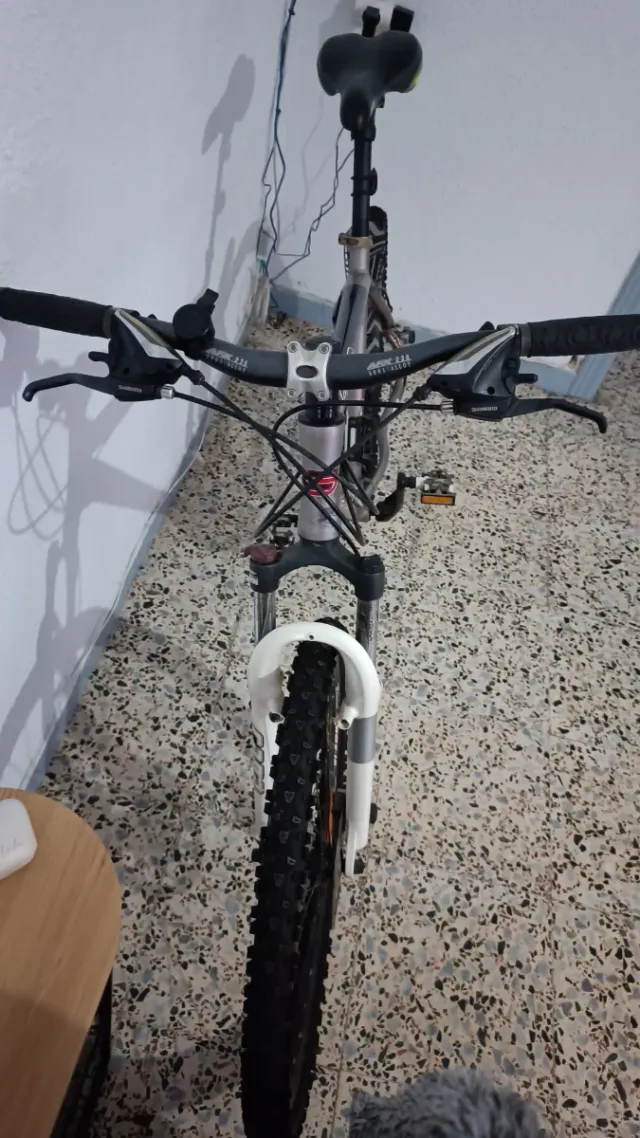 Bicicleta de montaña