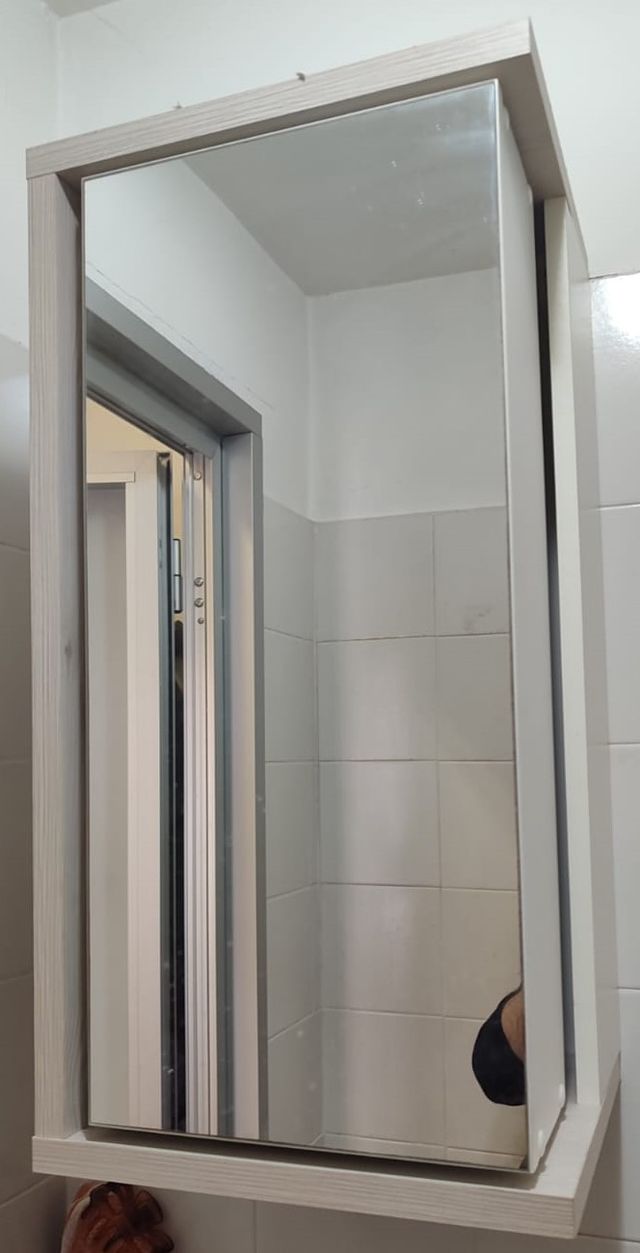 Specchiera da bagno con anta girevole