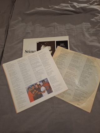 Vinilo LP Doble Sting Nothing Like the Sun