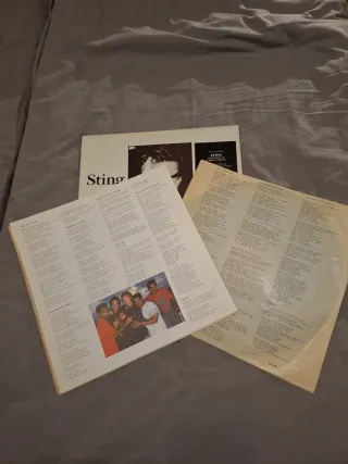 Vinilo LP Doble Sting Nothing Like the Sun