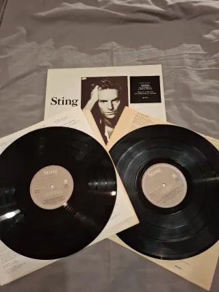 Vinilo LP Doble Sting Nothing Like the Sun