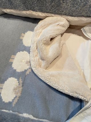 Vestidura minicuna Pili Carrera azul y beige