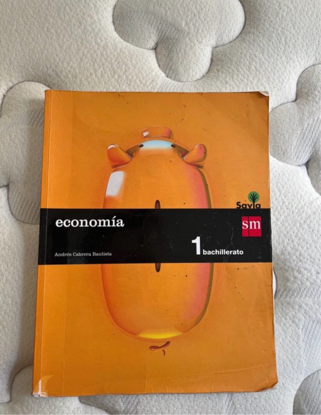 Economía. 1 Bachillerato. Savia (Spanish Edition)