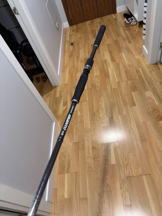 Caña de pescar Graphiteleader Argento UX