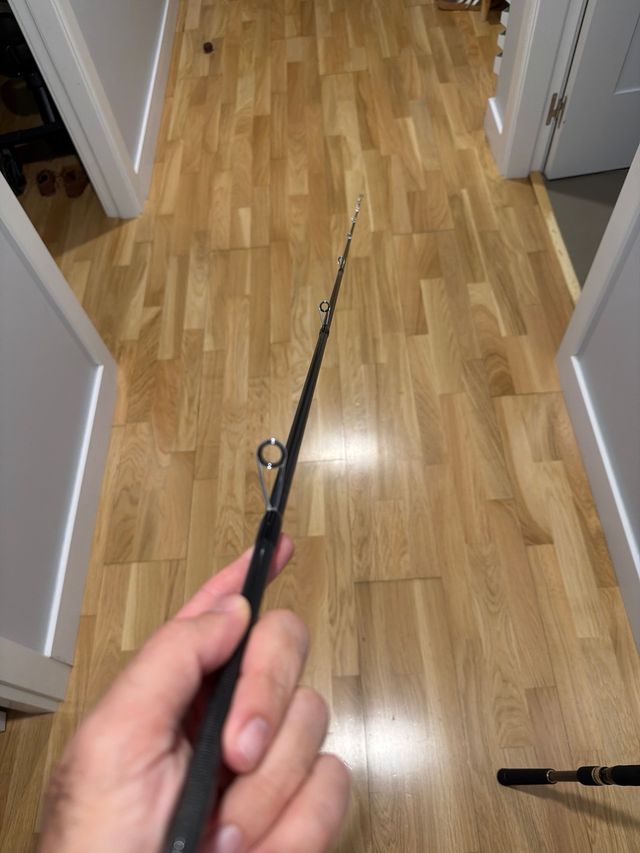 Caña de pescar Graphiteleader Argento UX