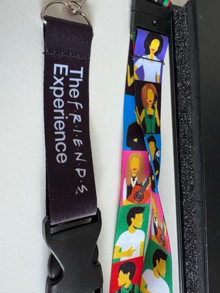 The Friends Experience: The One With The VIP