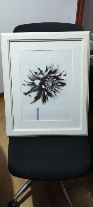 Cuadro Ikea Flor Blanco y Negro