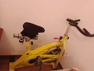 Bicicleta Spinning The Dream X7