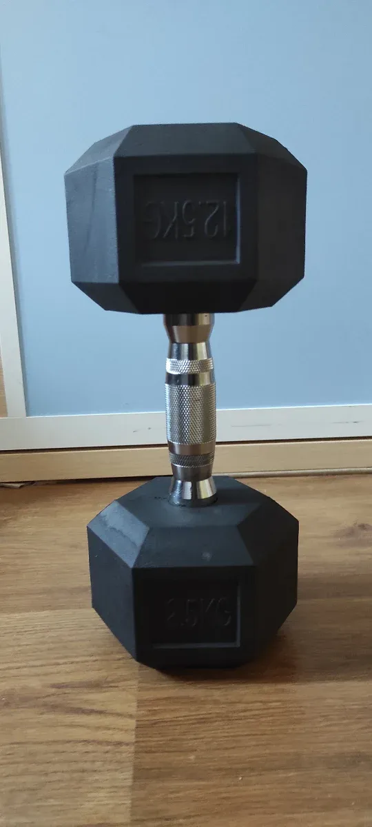 Mancuernas 12.5 kg cada una