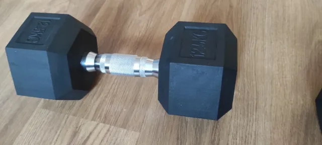 Mancuernas 12.5 kg cada una