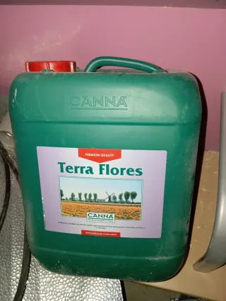 Bombilla Sylvania 600W