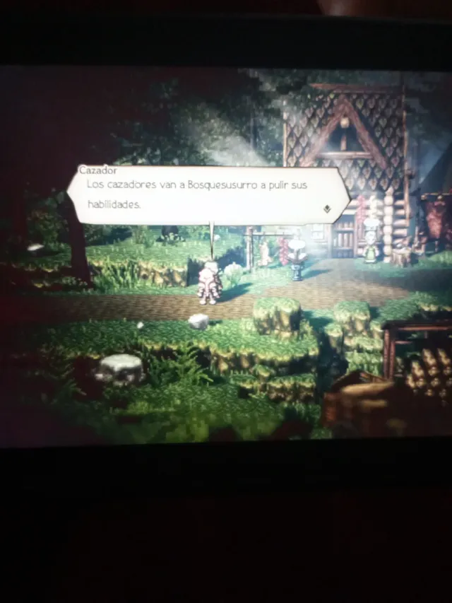 Octopath Traveler per Nintendo Switch