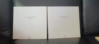 Mina Ti Conosco Mascherina Doppio LP Vinile