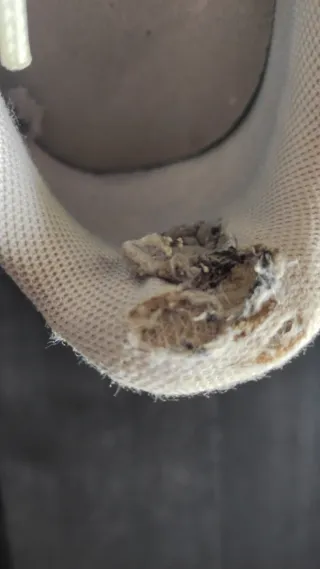 Sneakers Puma bianche e nere