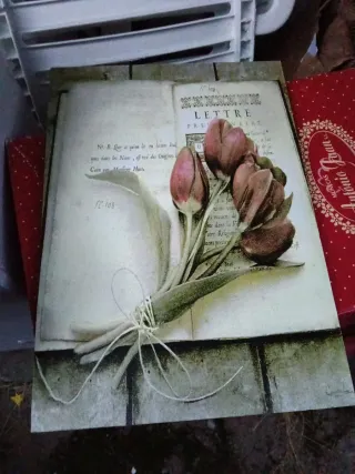 Conjunto cuadros flores vintage