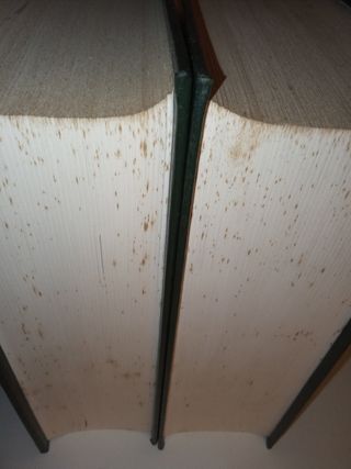 Grande Dicionário da Língua Portuguesa