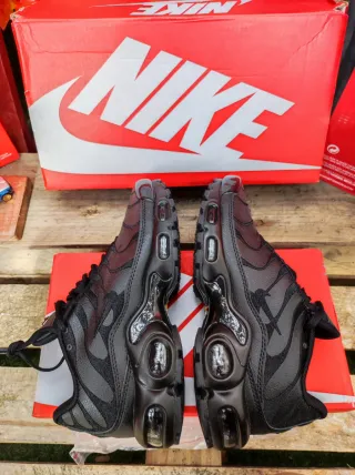 Zapatillas Nike Air Max Plus Tn.