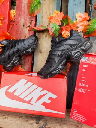 Zapatillas Nike Air Max Plus Tn.