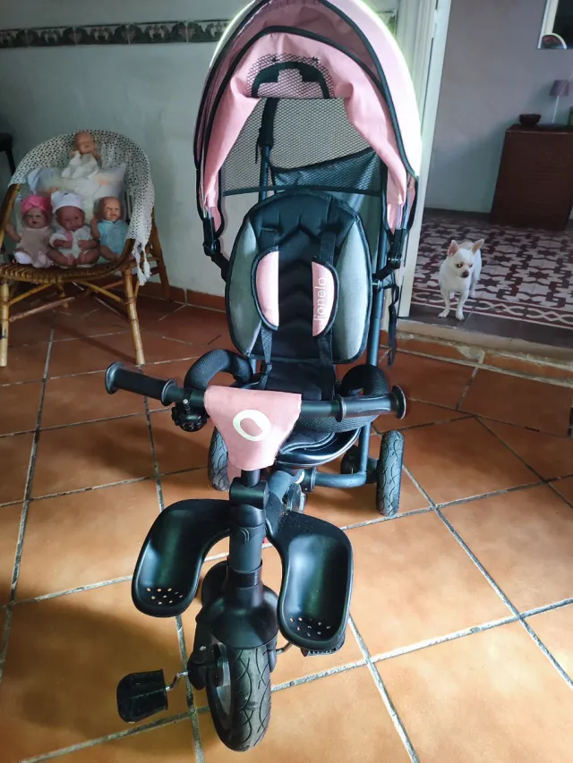 Triciclo per bambini Lionelo Trisplus rosa