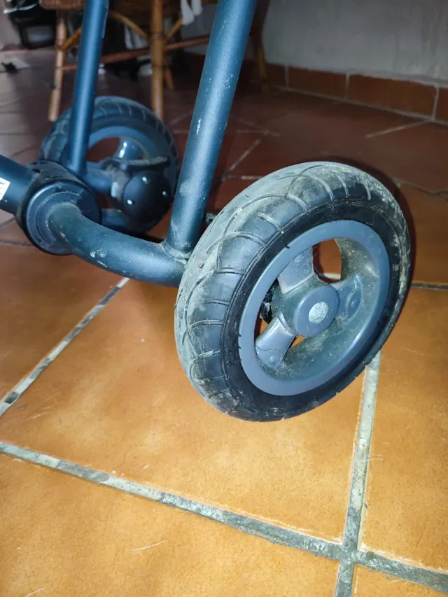 Triciclo per bambini Lionelo Trisplus rosa