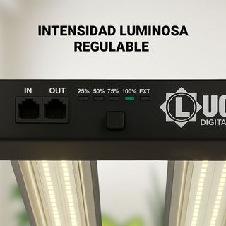 Foco LED Lucius Black Label 120W Cultivo