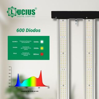 Foco LED Lucius Black Label 120W Cultivo