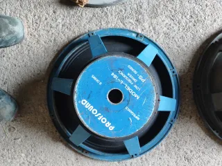 Altavoces 18 Beyma y Palco para reparar.