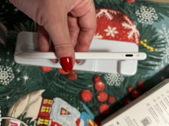 SwitchEasy EasyPencil Pro para iPad