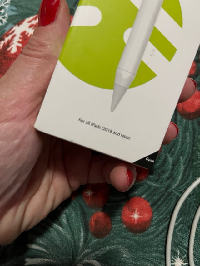 SwitchEasy EasyPencil Pro para iPad