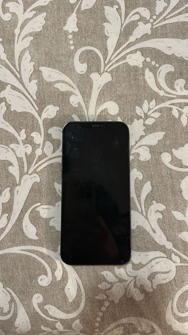 iPhone 12 Pro Max Grigio Siderale