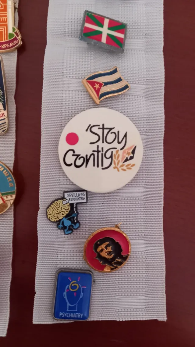 Lote de Pines Coleccionables Variados