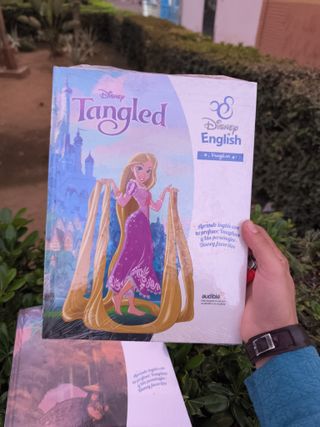 Varios libri Disney Toy Story, Raya in inglese di Vau