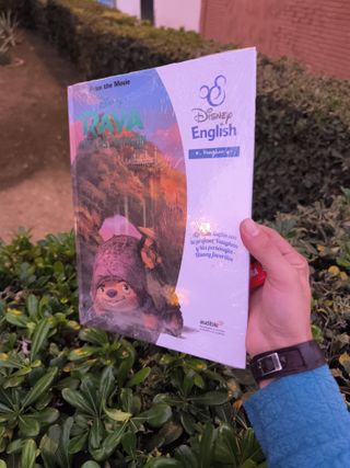 Varios libri Disney Toy Story, Raya in inglese di Vau