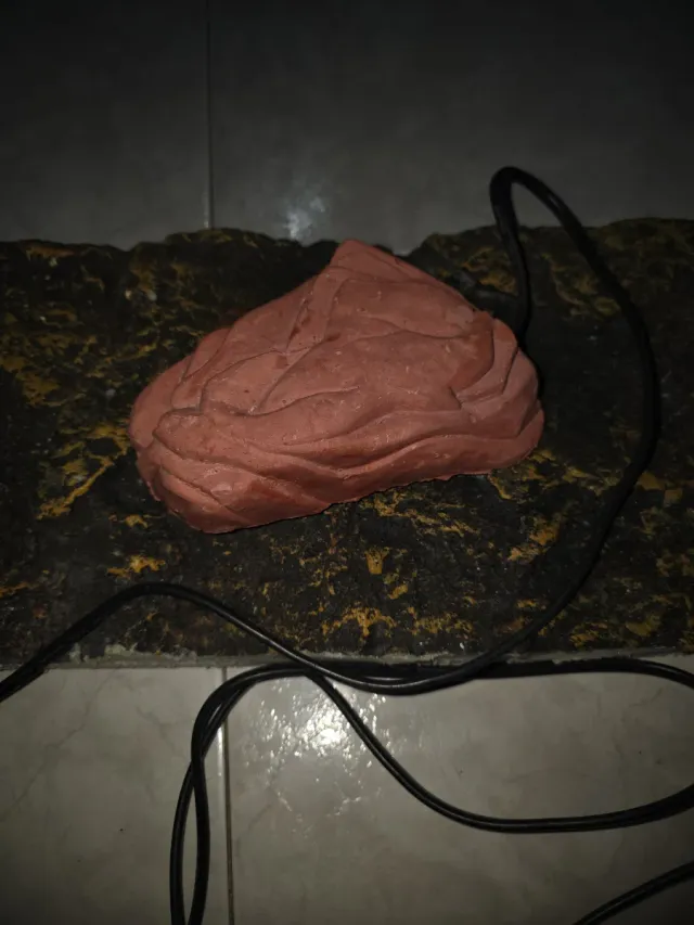 Piedra Calor Terrario Zoo Med