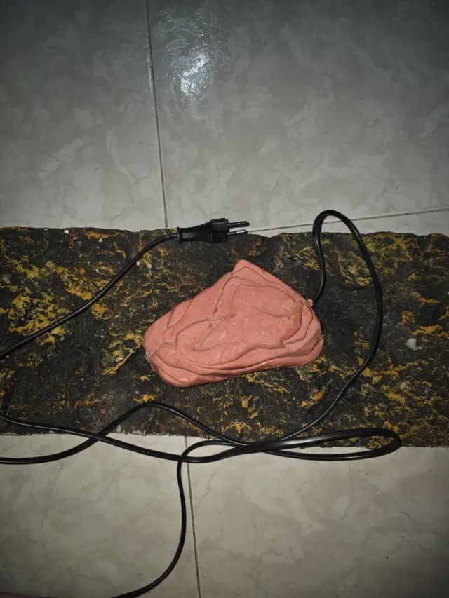 Piedra Calor Terrario Zoo Med