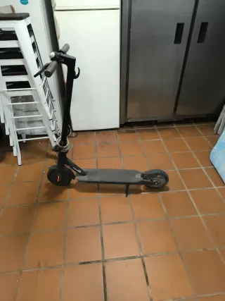 Patinete Eléctrico Xiaomi