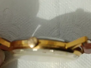 Reloj Radiant Antimagnético 15 Rubis Oro 10 Micras