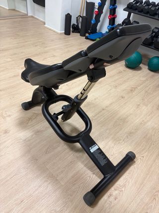 Banco de gimnasio profesional ajustable