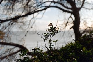 Objetivo Jupiter 50mm f2 Leica M