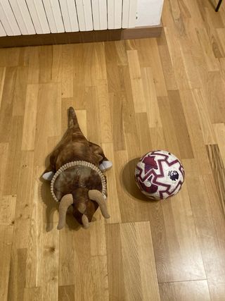 Peluche Dinosaurio Triceratops