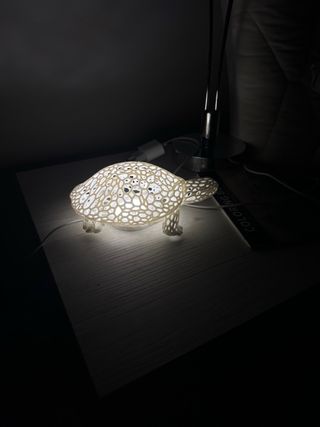 Lamp tartaruga Design