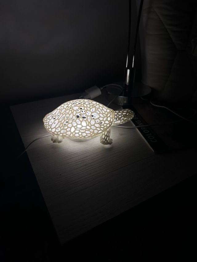 Lamp tartaruga Design