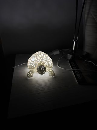 Lamp tartaruga Design