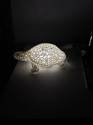 Lamp tartaruga Design