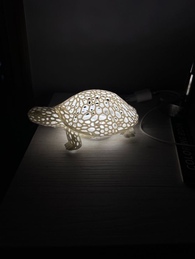 Lamp tartaruga Design