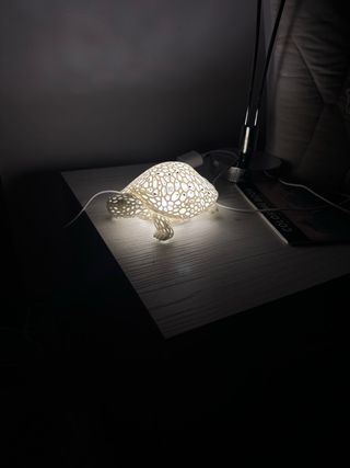 Lamp tartaruga Design