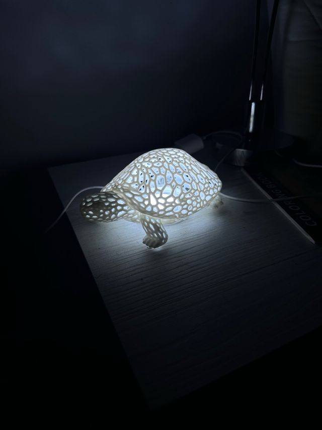 Lamp tartaruga Design