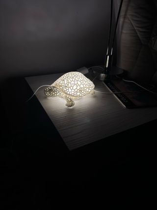 Lamp tartaruga Design
