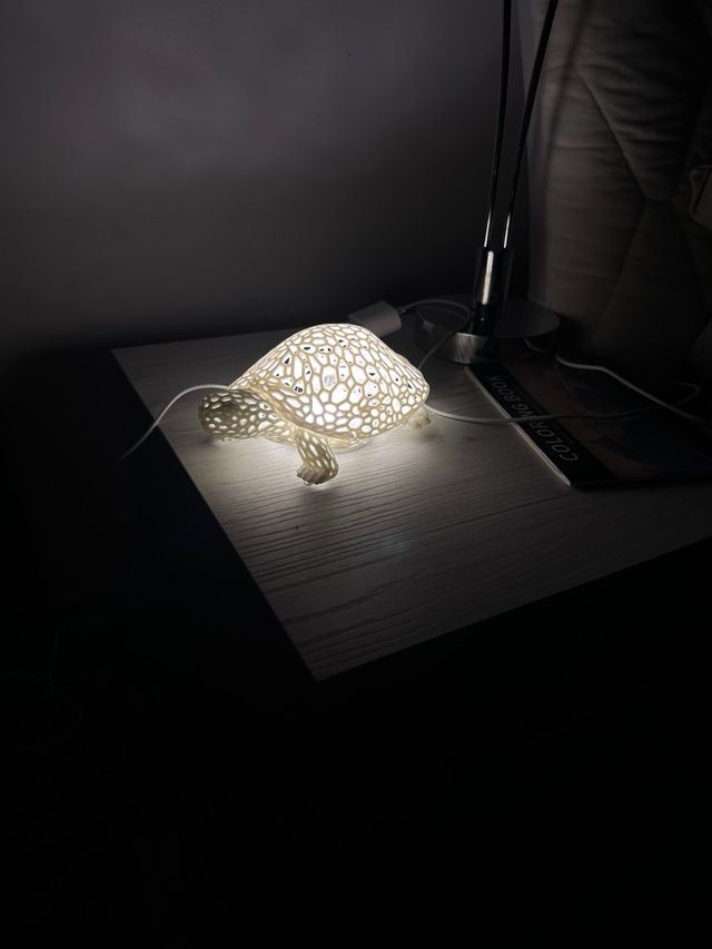 Lamp tartaruga Design